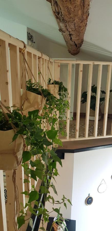 מונפלייה Studio Mediterraneenne מראה חיצוני תמונה